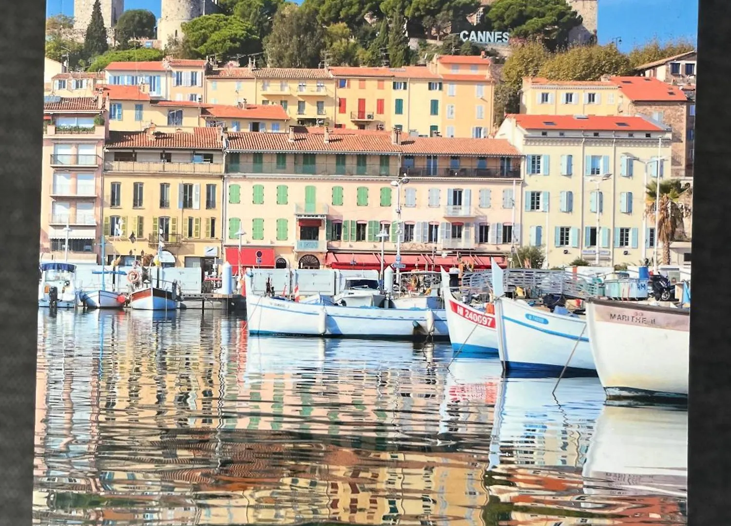 La Douceur Cannoise Soit Un 2P Cosy Terrasse Piscine Vue Jardin Proche Plage A Pied 戛纳
